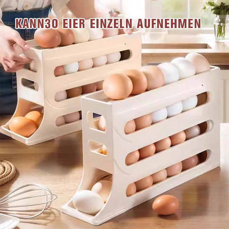 Fire-lags Egg Storage Rack | Skanto