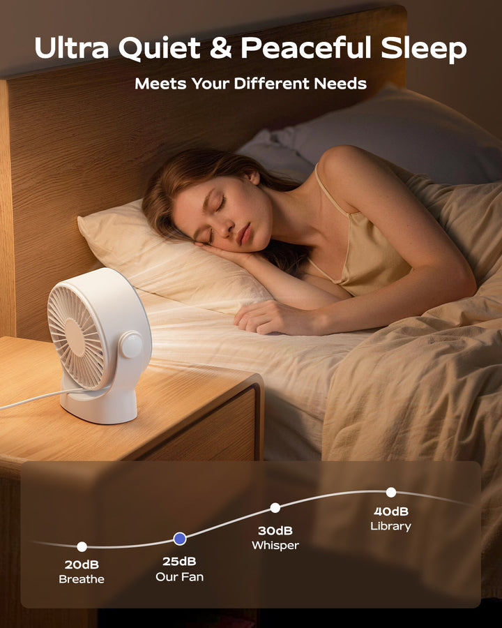 4-hastighets USB-oppladbar skrivebordsvifte med smart LED-skjerm | Skanto