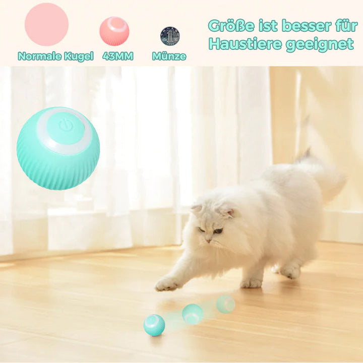 Intelligent Electric Self-Rolling Cat Toy Ball | Skanto
