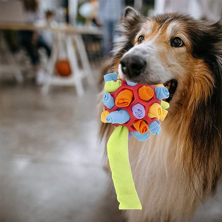 Skanto | Hund Bitt Leketøy