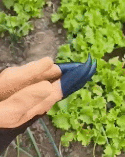 Skanto | Hageplantingshansker