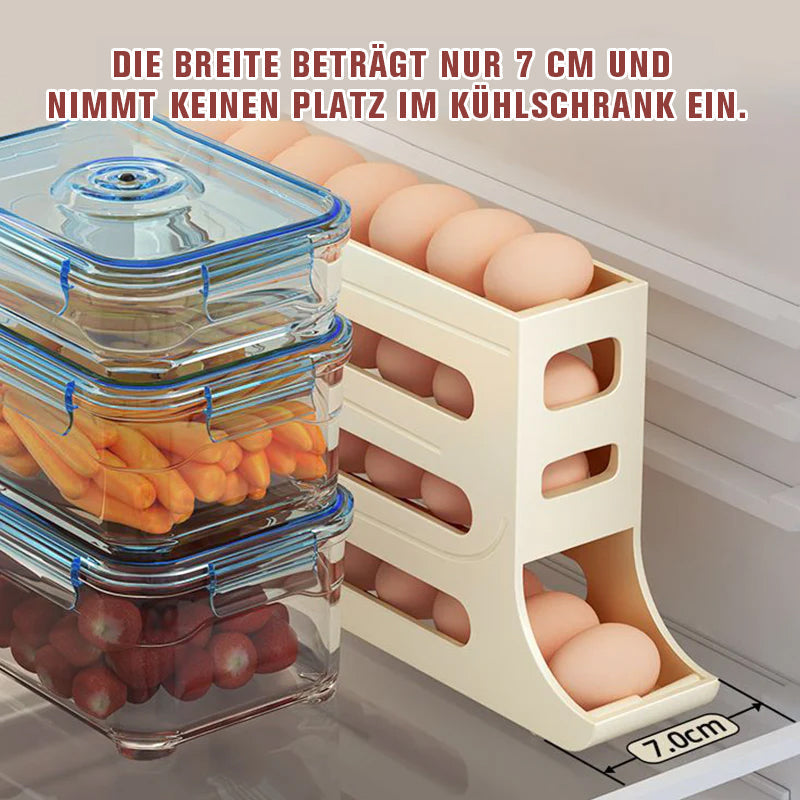 Fire-lags Egg Storage Rack | Skanto