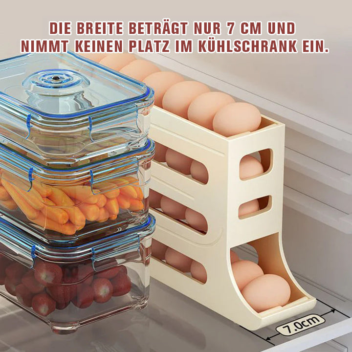 Fire-lags Egg Storage Rack | Skanto