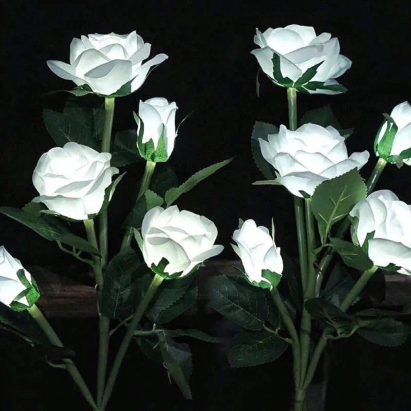 Skanto | Everbloom Solblomster Lys