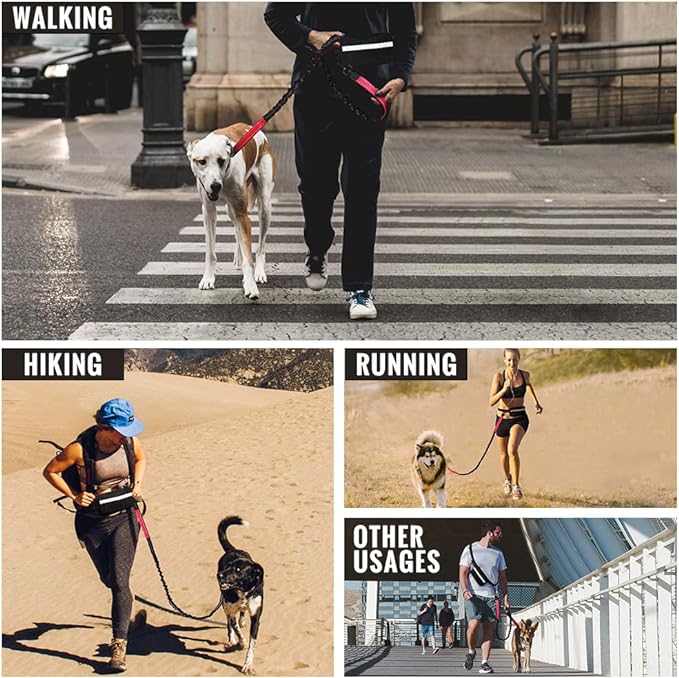Skanto | PawsFree Pro – Nyt stressfrie turer med hunden din