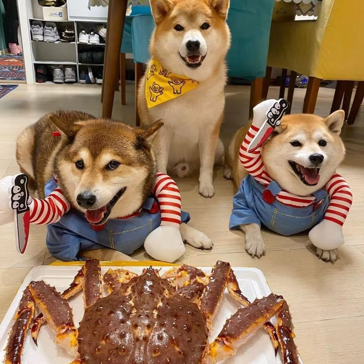Skanto | Chucky-inspired pet costume for dogs and cats
