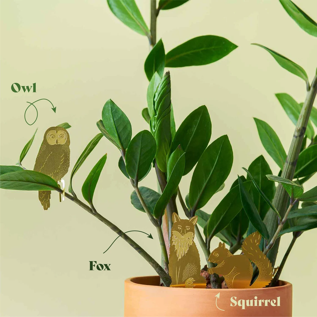 Skanto | Plant Dyr Dekorasjoner
