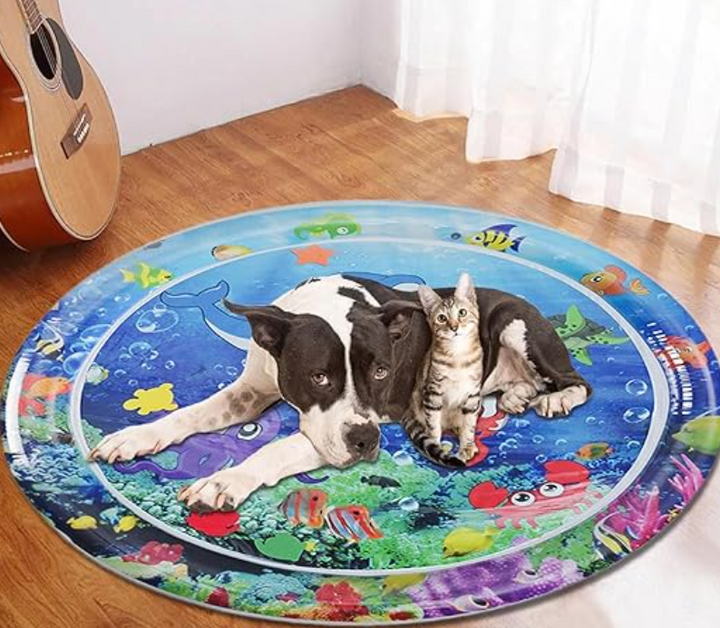 Skanto | FelineSplash — Slipp løs kattens ville jaktglede uten kaos og stress!