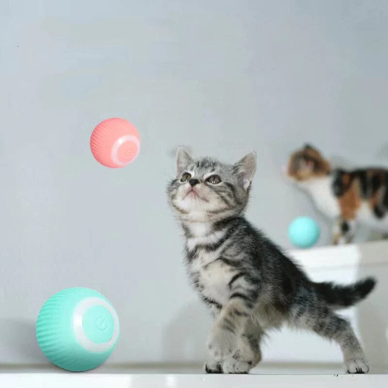 Skanto | Intelligent Elektrisk Selv-Rullende Katt Lekeball
