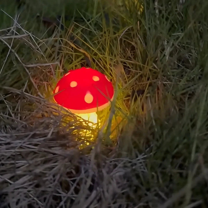Skanto | MoonlitMushrooms Solcellehagebelysning