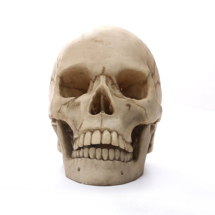 Skanto | 1:1 Menneskeskalle Statue for Hjemmedekorasjon Harpiksfigurer Halloween Dekorasjon Skulptur Medisinsk Undervisning Skissemodell Håndverk