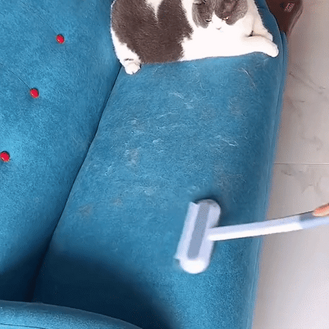 Skanto | 3-i-1 Dyrehårs Fjerner - Petclean Pro