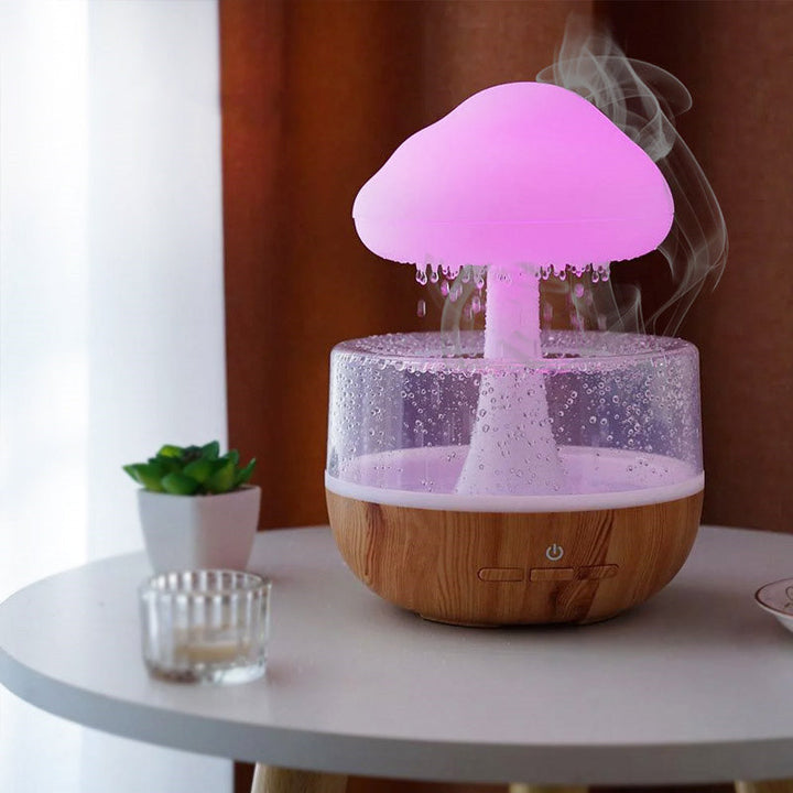 Regnsky Humidifier Skanto