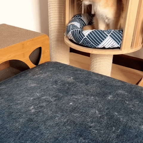 Skanto | 3-i-1 Dyrehårs Fjerner - Petclean Pro