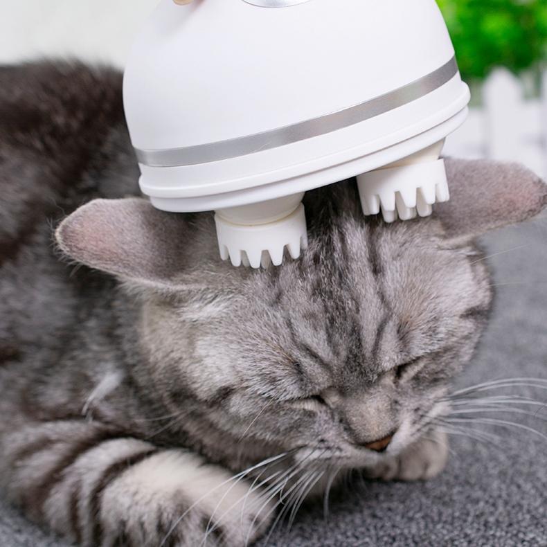 Electric Cat Massager | Skanto