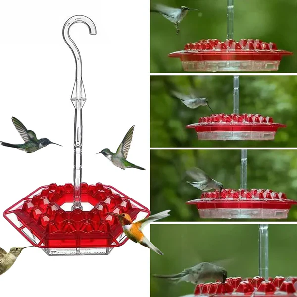 Skanto | Ant-Proof Kolibri Fôrmater med 30 Bie-Motstandsdyktige Porter