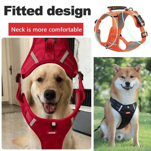 DogGrip Gå trygt med hunden din | Skanto