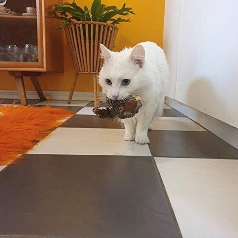 Katt leketøy - Simulert kvitre fugl Skanto