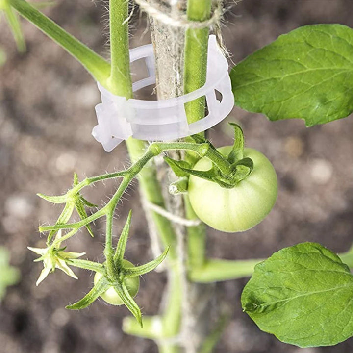 Praktisk Plante Støtte Klype | Skanto