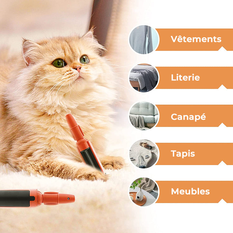 Adhesive Brush for Pets | Skanto