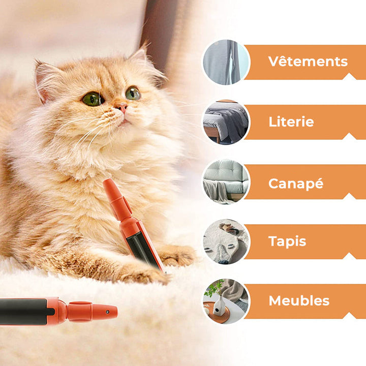 Adhesive Brush for Pets | Skanto