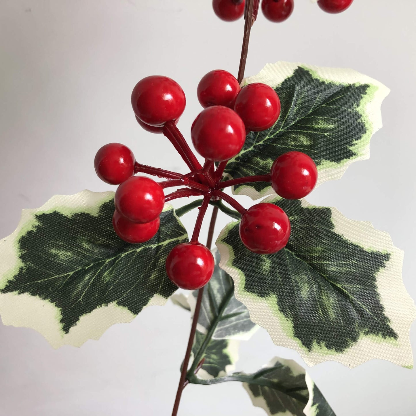 Norvo | Jule Rød Frukt Rattan Fest Vindu Patio Fest Takkefest Dekorasjon Lyskæde