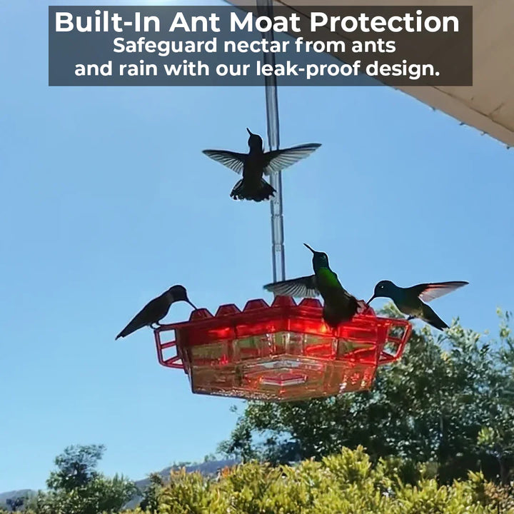 Skanto | Ant-Proof Kolibri Fôrmater med 30 Bie-Motstandsdyktige Porter