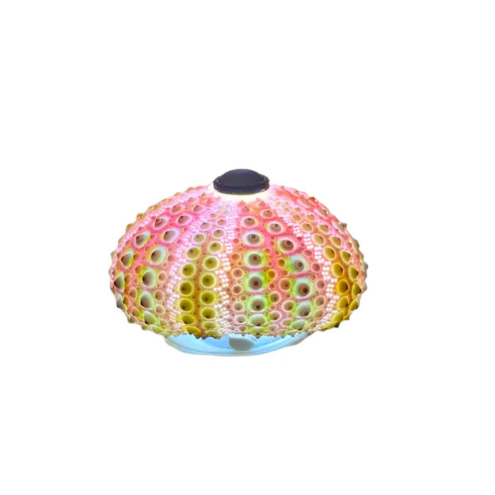 CoastalGlow DIY pinnsvin nattlys Skanto
