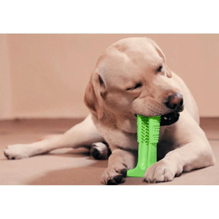 Skanto | Pet Dog Toothbrush