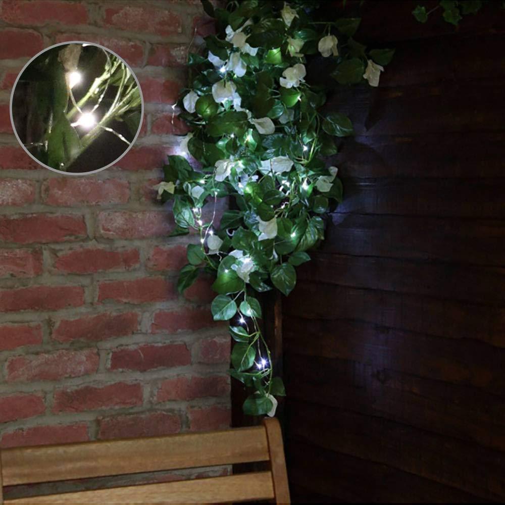 Solar Fairy String Light | Skanto