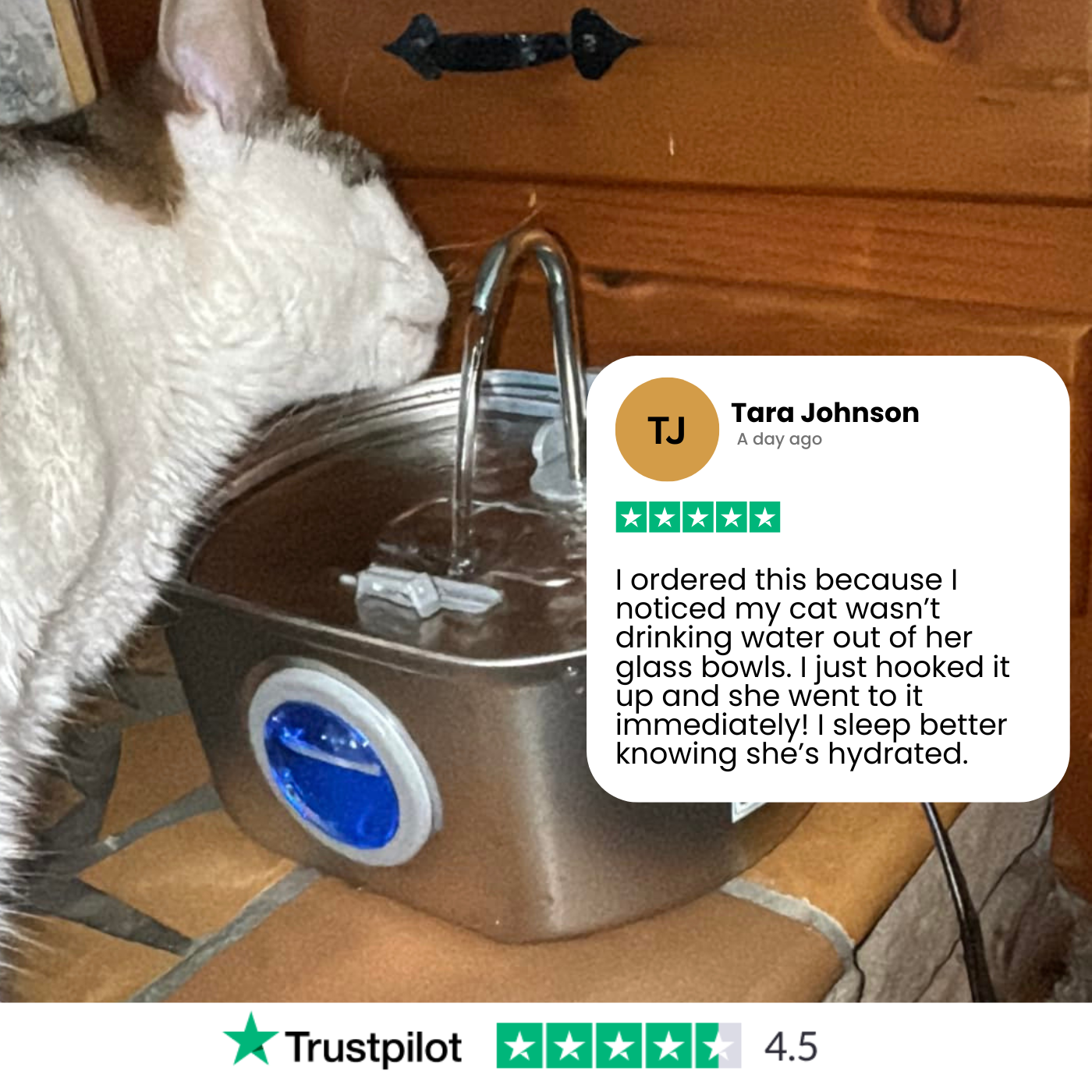 Norvo | Felindra Katte Drikkefontene Laget av Rustfritt Stål | Strømmende Vann for Bedre Hydrering | Stille & Hygienisk | 2,5 L Kapasitet