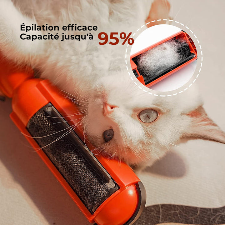 Adhesive Brush for Pets | Skanto