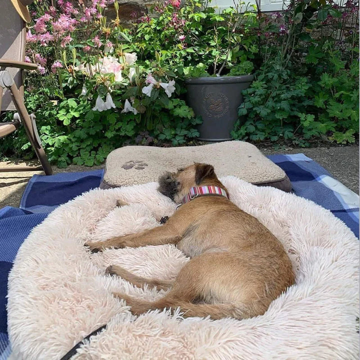 Skanto | Beroligende Hundeseng