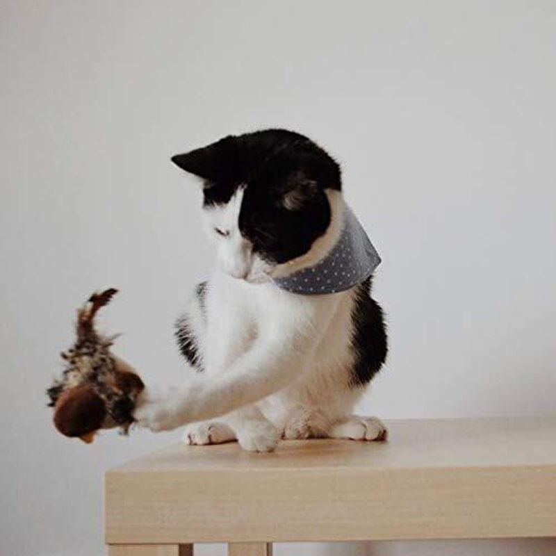 Katt leketøy - Simulert kvitre fugl Skanto