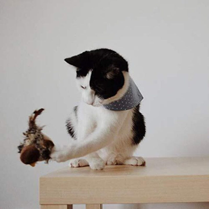 Katt leketøy - Simulert kvitre fugl Skanto