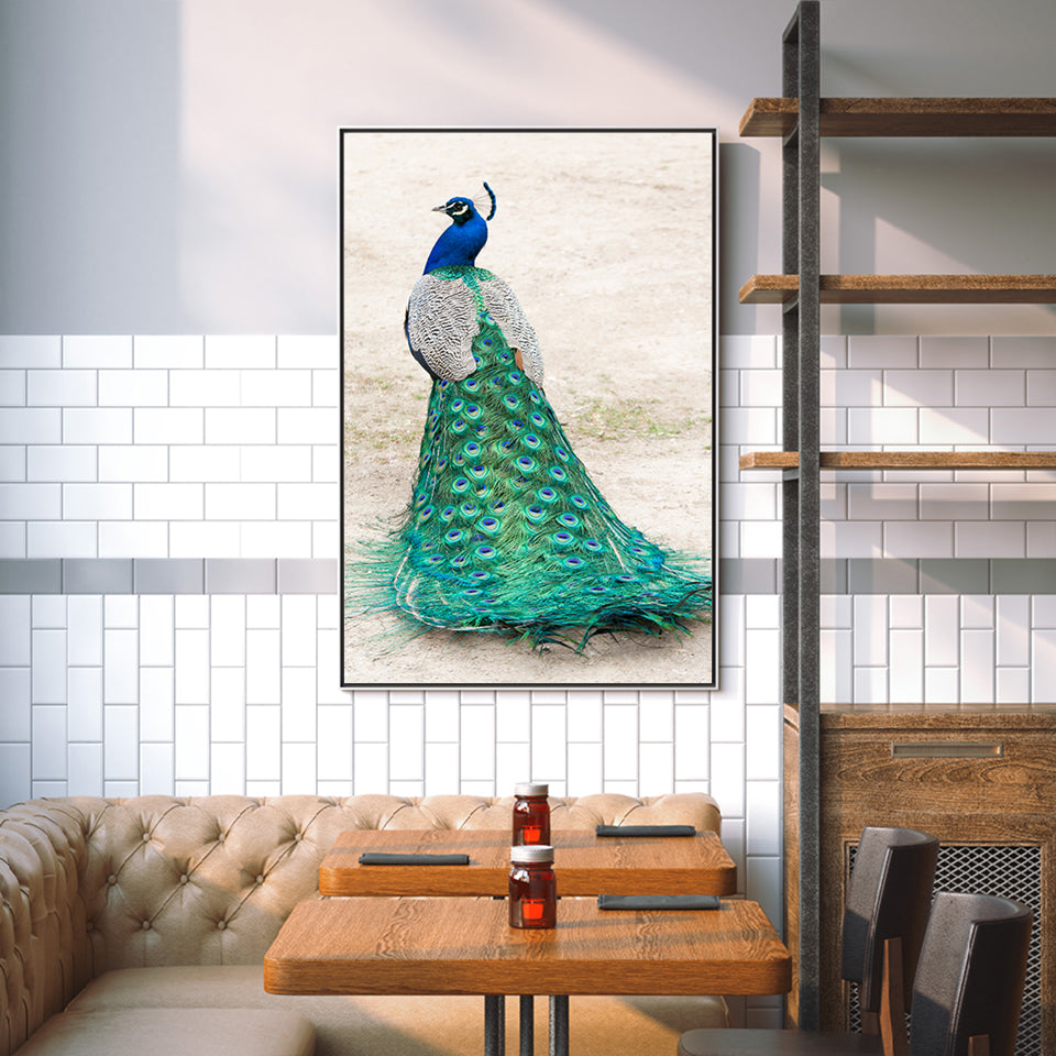Elegant påfugl i skjørt – lerretbilde