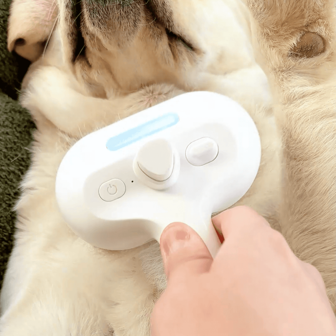 Skanto | DampfVacht Steam Brush – Skånsom pleie for hver hundepels