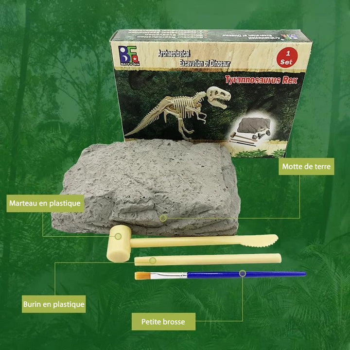 arkeologisk dinosaurleke | Skanto