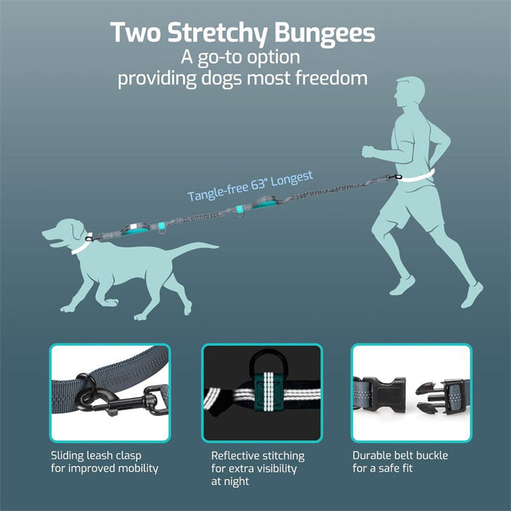 Skanto | Hands Free Dog Leash Set For Running