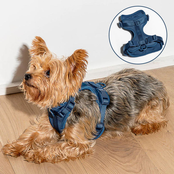 Skanto | Adjustable Dog Vest Harness with 3 Leash Clips