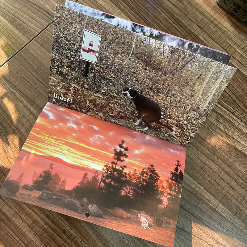 Skanto | Poopende Hunder Hundekalender