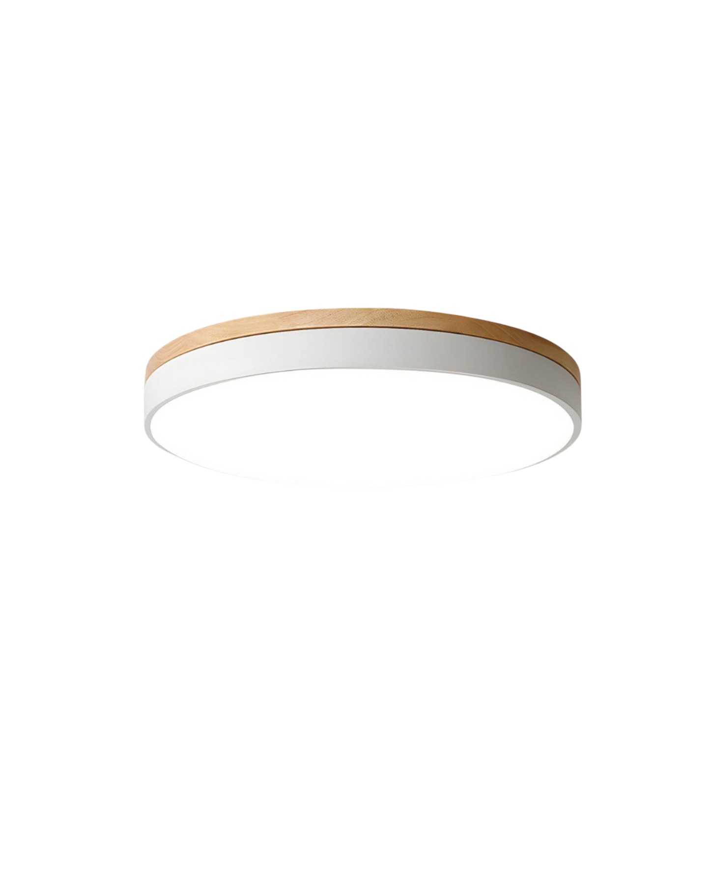 Norvo | Moderne taklampe med naturinspirert form
