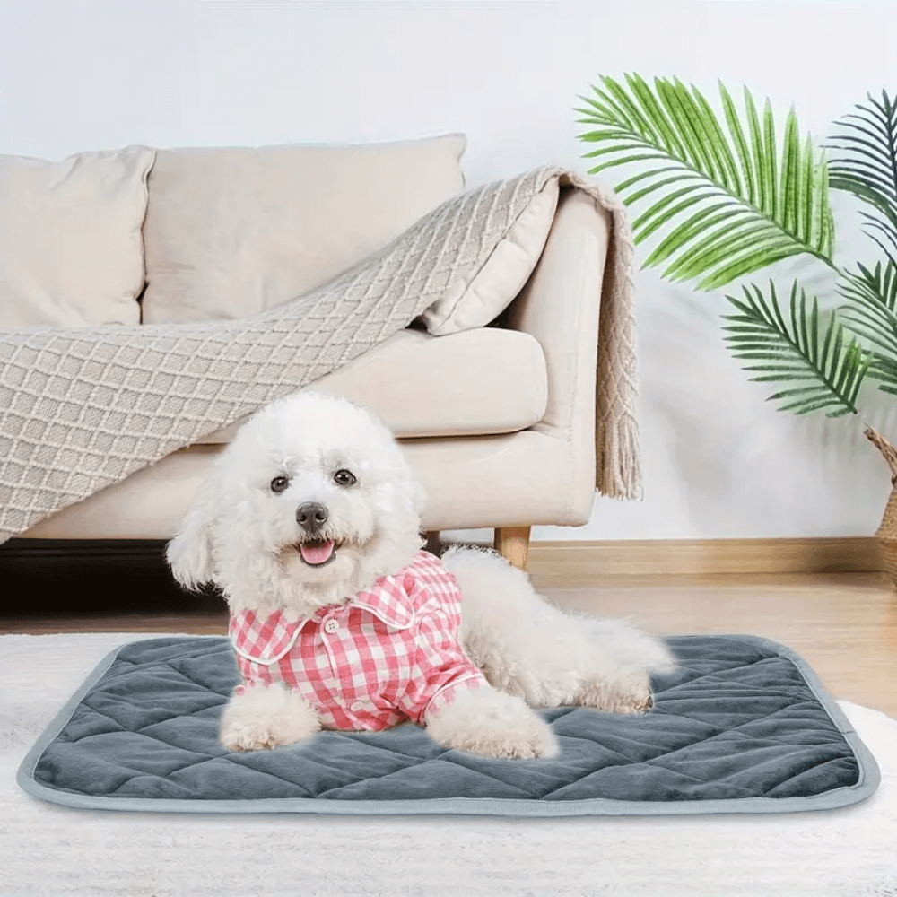 ToastyPaws Selvoppvarmende Pute for Hund