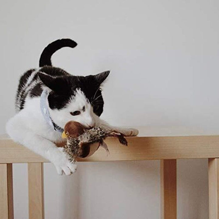 Katt leketøy - Simulert kvitre fugl Skanto