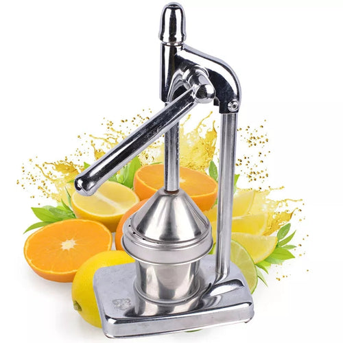 Skanto | Rustfritt Stål Fruktjuicer