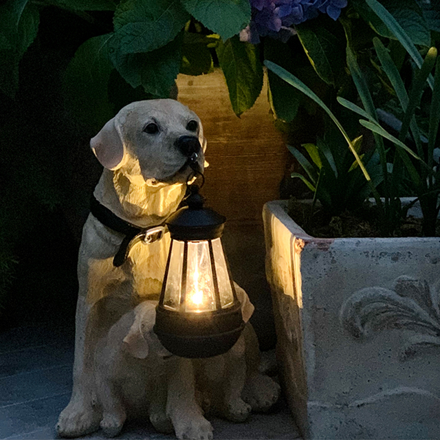 Playful Paws Solcellelampe Skanto