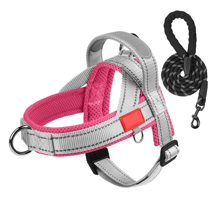 PawEase Comfort Harness — Avslappet påkledning og ubegrenset frihet for hunden din | Skanto