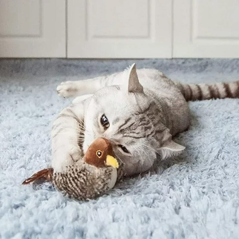Katt leketøy - Simulert kvitre fugl Skanto