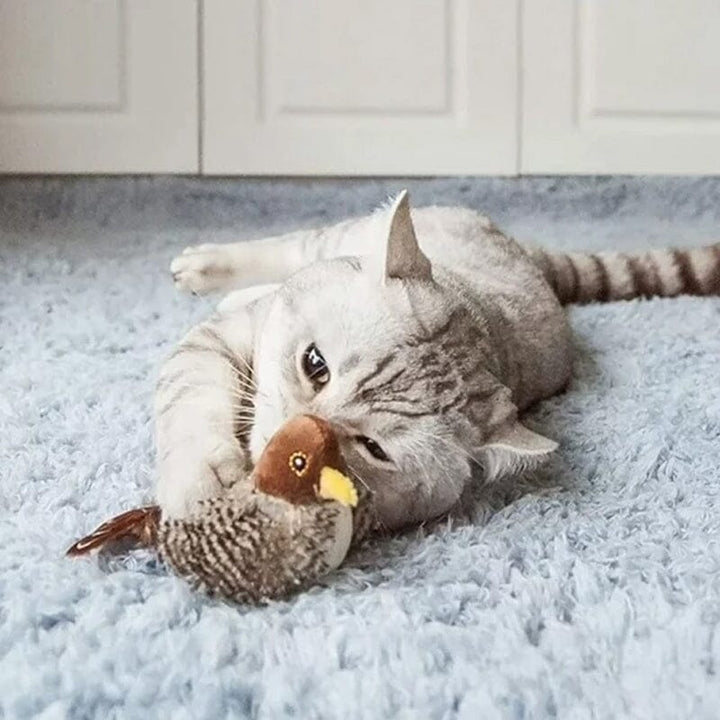 Katt leketøy - Simulert kvitre fugl Skanto