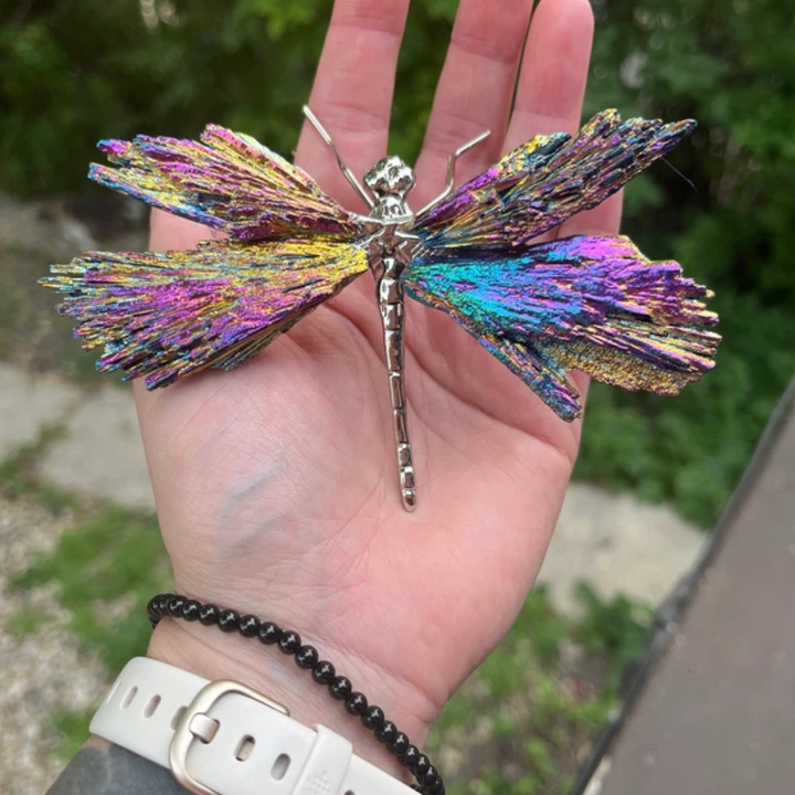 Skanto | Aurora Libelle Charm